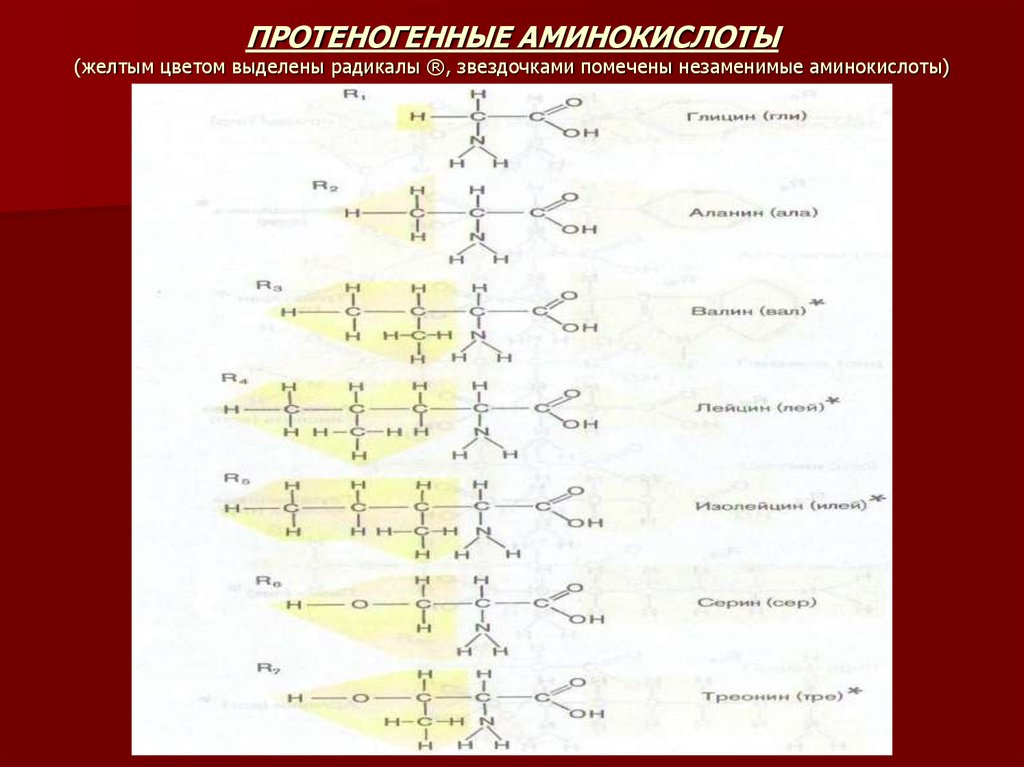 Состав радикалов аминокислот. 20 Аминокислот таблица с радикалами. Строение радикалов аминокислот. Функциональные группы радикалов аминокислот. Боковые радикалы аминокислот.