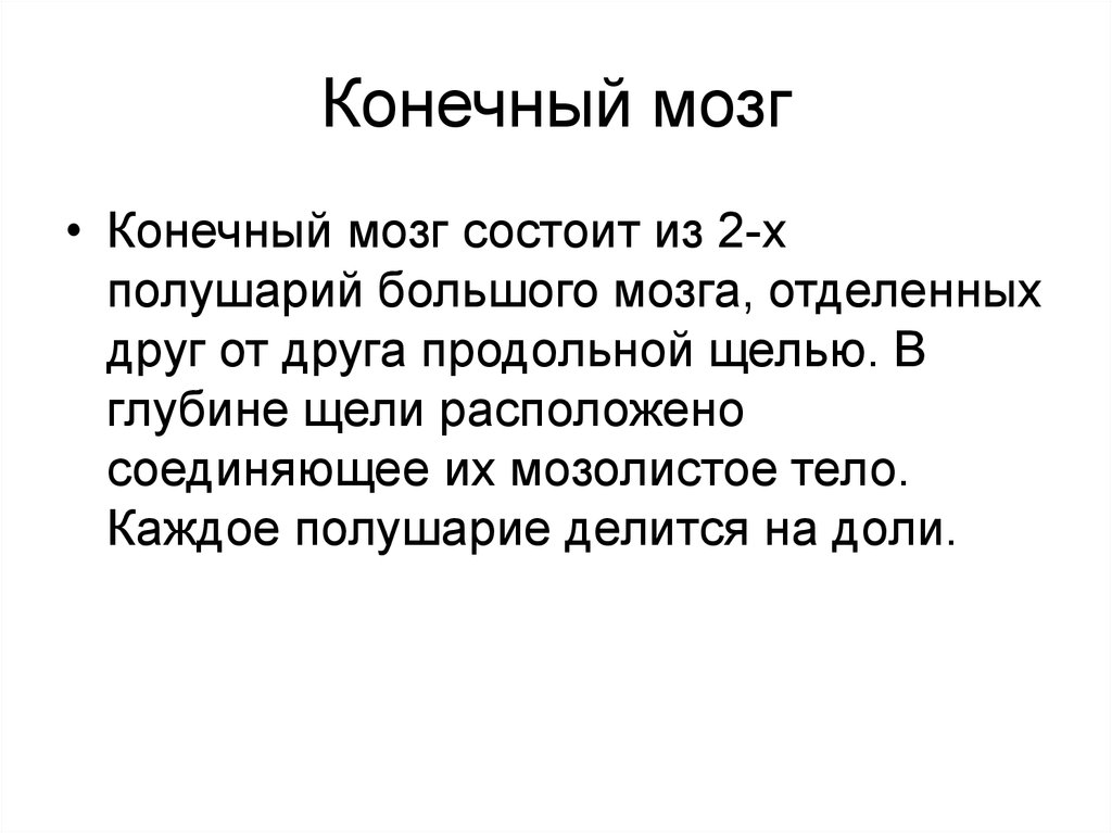 Конечный мозг