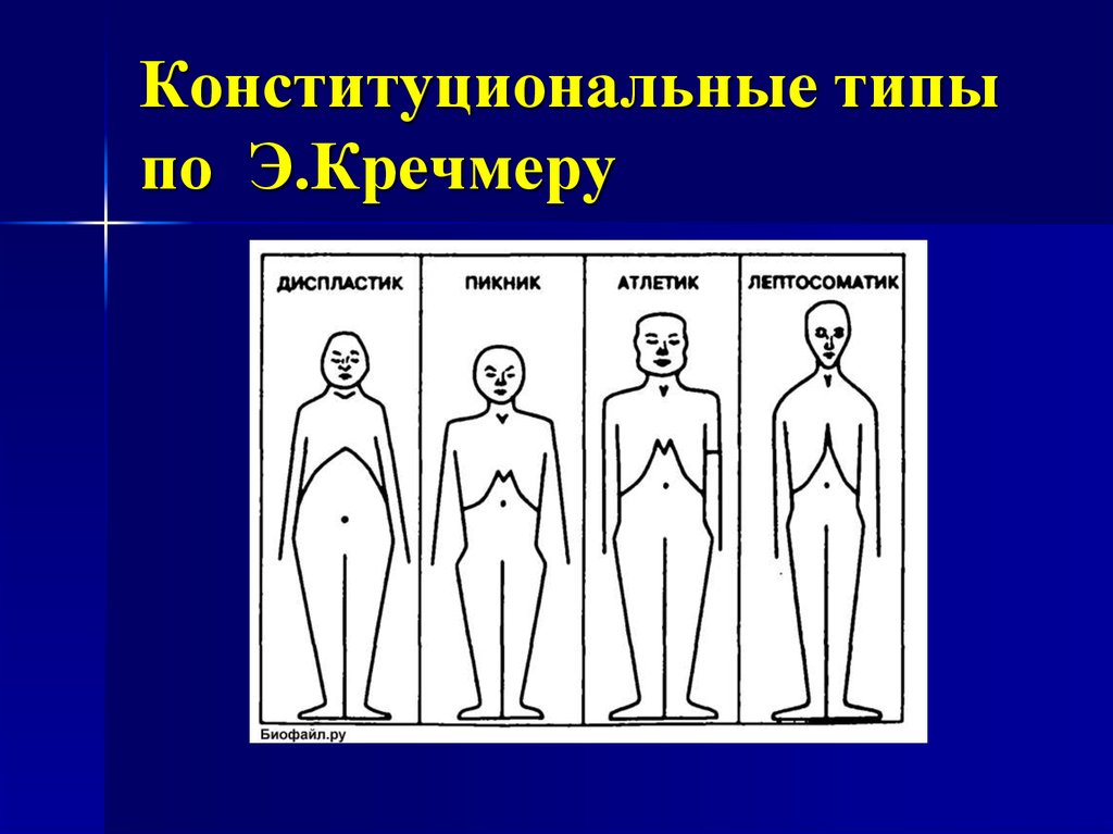 Психосоматические конституциональные схемы э кречмера и у шелдона