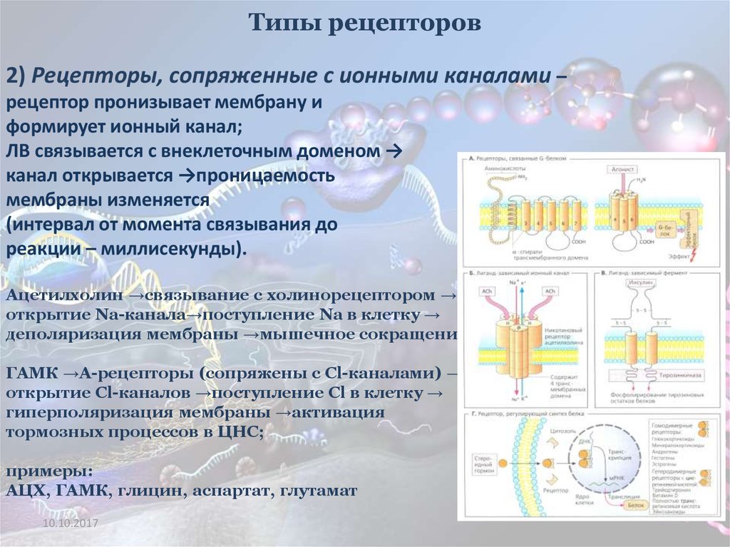 Типы рецепторов