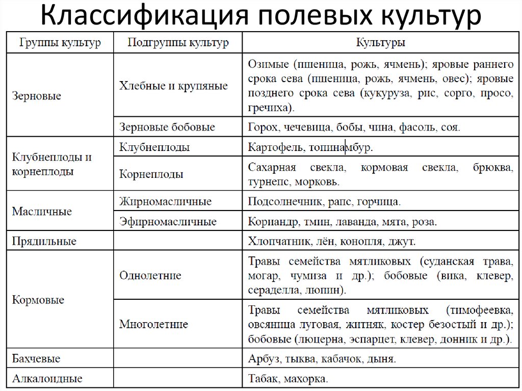 Особенности сельскохозяйственных растений. Группировка и классификация полевых культур. Классификацией полевых культур по хозяйственному назначению. Классификация полевых культур таблица. Зерновые культуры таблица.