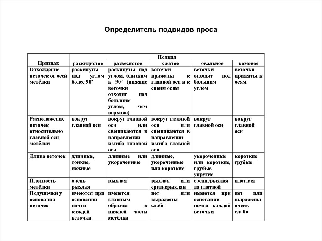 Отличительные Признаки Стиля Плетения Словес