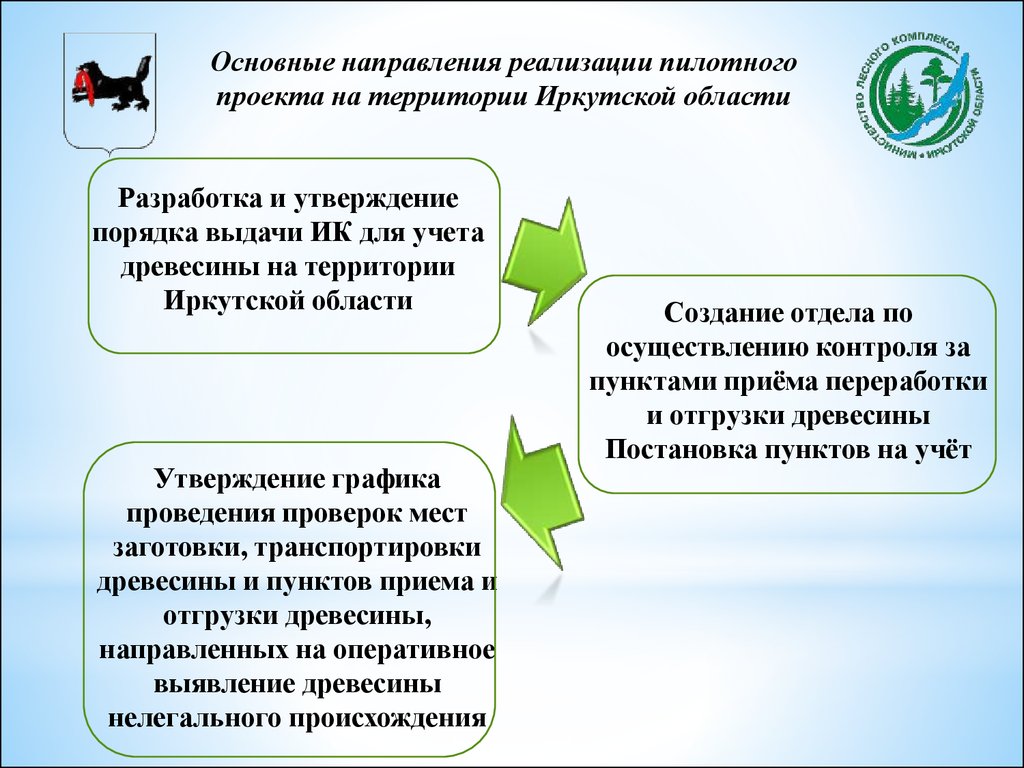 Почему называют пилотный проект