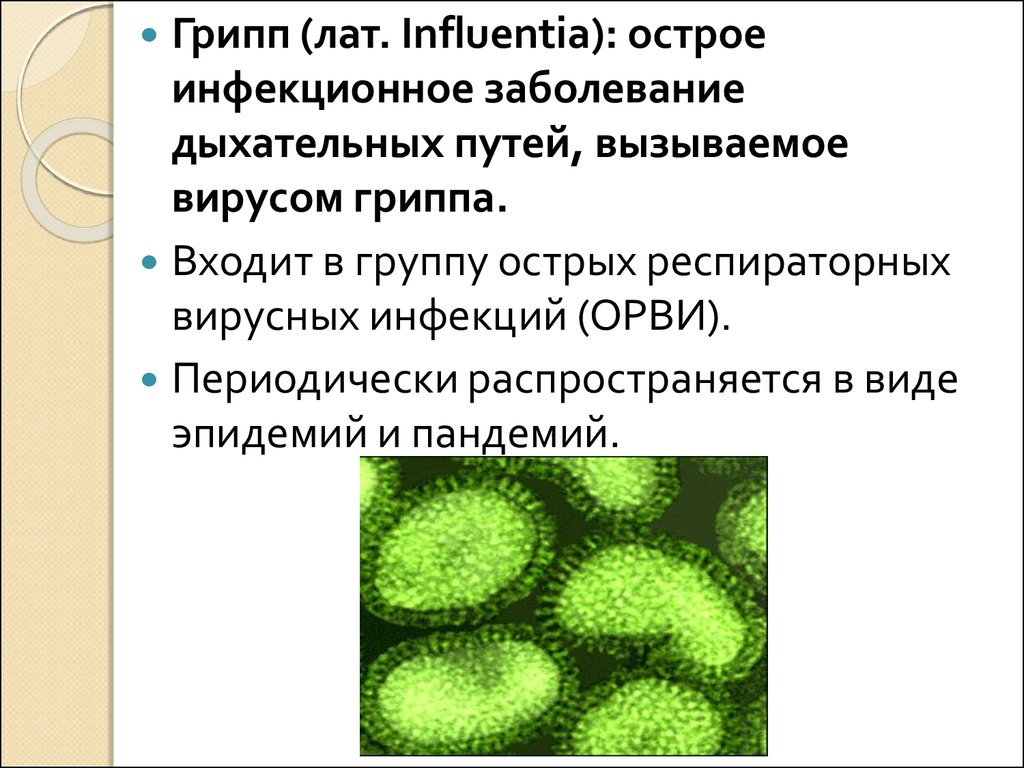 Группы вирусных инфекций