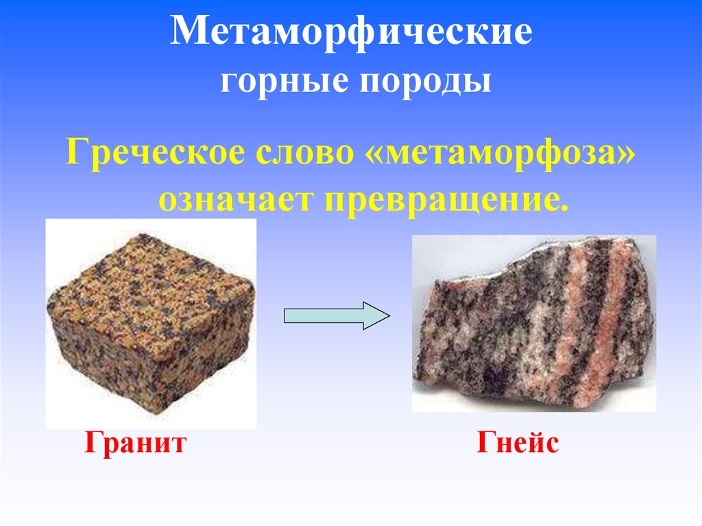 Какое происхождение имеют мрамор и гнейс. Гнейс метаморфическая Горная. Гранит магматическая Горная порода. Гнейс метаморфические породы гранит. Гнейс метаморфическая Горная порода.