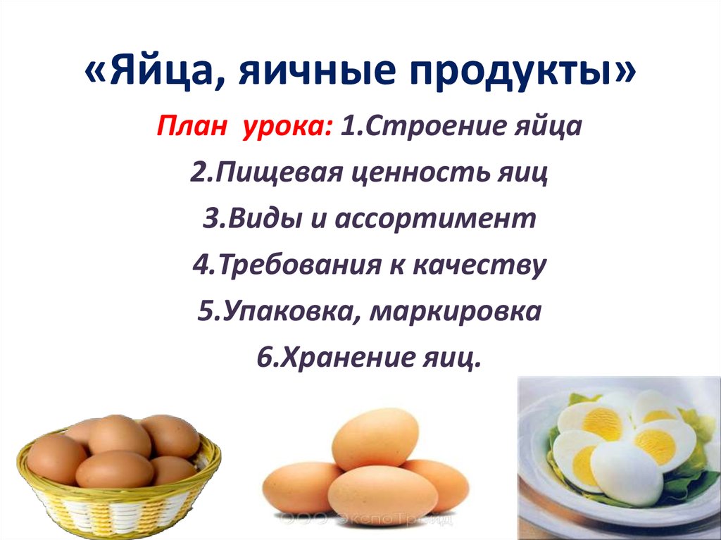 Реферат: Яйца и яйцепродукты, характеристика
