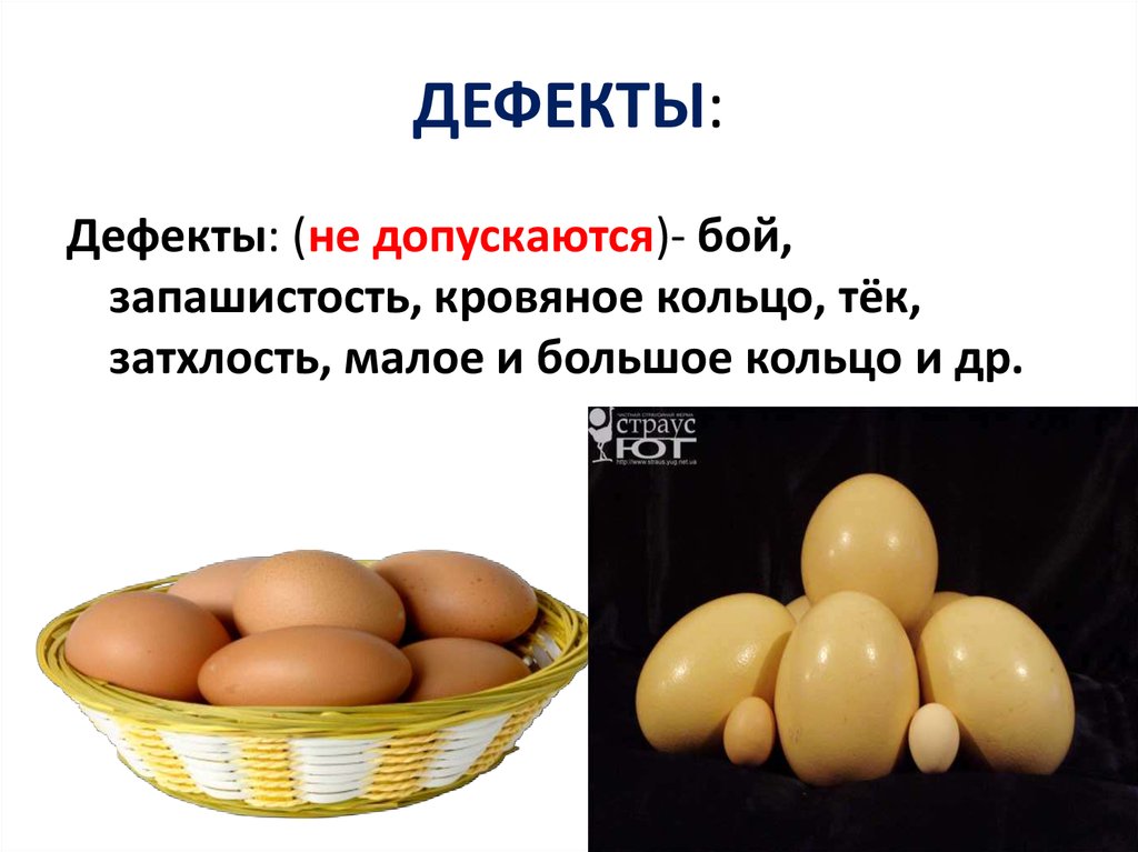 Куриное яйцо тест