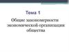 Общие закономерности экономической организации общества