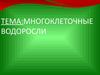 Многоклеточные водоросли