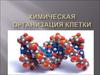 Химическая организация клетки