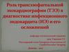 Роль трансэзофагеальной эхокардиографии (ТЭЭ) в диагностике инфекционного эндокардита (ИЭ) и его осложнений