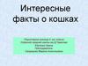 Интересные факты о кошках