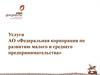 Услуги АО «Федеральная корпорация по развитию малого и среднего предпринимательства»