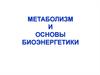 Метаболизм и основы биоэнергетики
