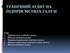 Технічний аудит на підприємствах галузі
