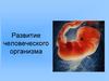 Развитие человеческого организма