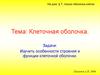 Клеточная оболочка. Оболочка  животных и растительных клеток