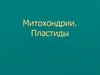 Митохондрии. Пластиды