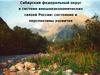 Сибирский федеральный округ в системе внешнеэкономических связей России: состояние и перспективы развития