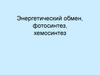 Энергетический обмен, фотосинтез, хемосинтез