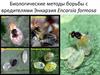 Биологические методы борьбы с вредителями