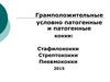 Грамположительные условно патогенные и патогенные кокки