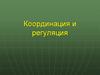 Регуляция процессов жизнедеятельности животных организмов и их связь с окружающей средой