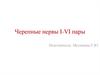 Черепные нервы I-VI пары