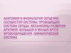Анатомия и физиология сердечно-сосудистой системы. Проводящая система сердца. Механизмы развития аритмий