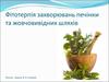 Фітотерпія захворювань печінки та жовчовивідних шляхів