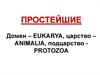 Простейшие – эукариотические одноклеточные микроорганизмы