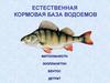 Естественная кормовая база водоемов