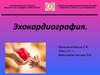 Эхокардиография