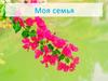 Моя семья