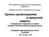 Органы кроветворения и иммунной защиты