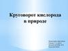 Круговорот кислорода в природе