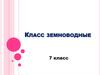 Класс земноводные