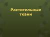 Растительные ткани