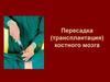 Пересадка (трансплантация) костного мозга