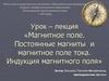 Магнитное поле. Постоянные магниты и магнитное поле тока. Индукция магнитного поля