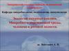 Экология микроорганизмов. Микробиота окружающей среды, человека и ротовой полости