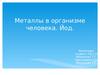Металлы в организме человека