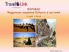 Туристическое агенство Travel Link