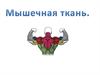 Мышечная ткань