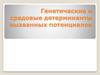 Генетические и средовые детерминанты вызванных потенциалов