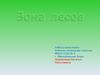 Зона лесов расположена в умеренном поясе