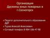 Организация Дружины юных пожарных в г.Сосногорск