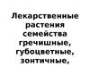 Лекарственные растения семейства гречишные, губоцветные, зонтичные, крушиновые, ламинариевые