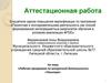 Аттестационная работа. Рабочая программа по внеурочной деятельности «Палитра»