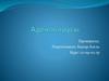 Аденовирусы. Симптомы аденовирусной инфекции, диагностика, лечение